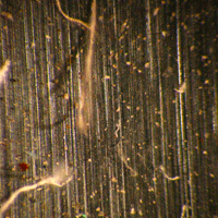 Scratches Occurred In Precision Mold Making Process Taken by X-Loupe product